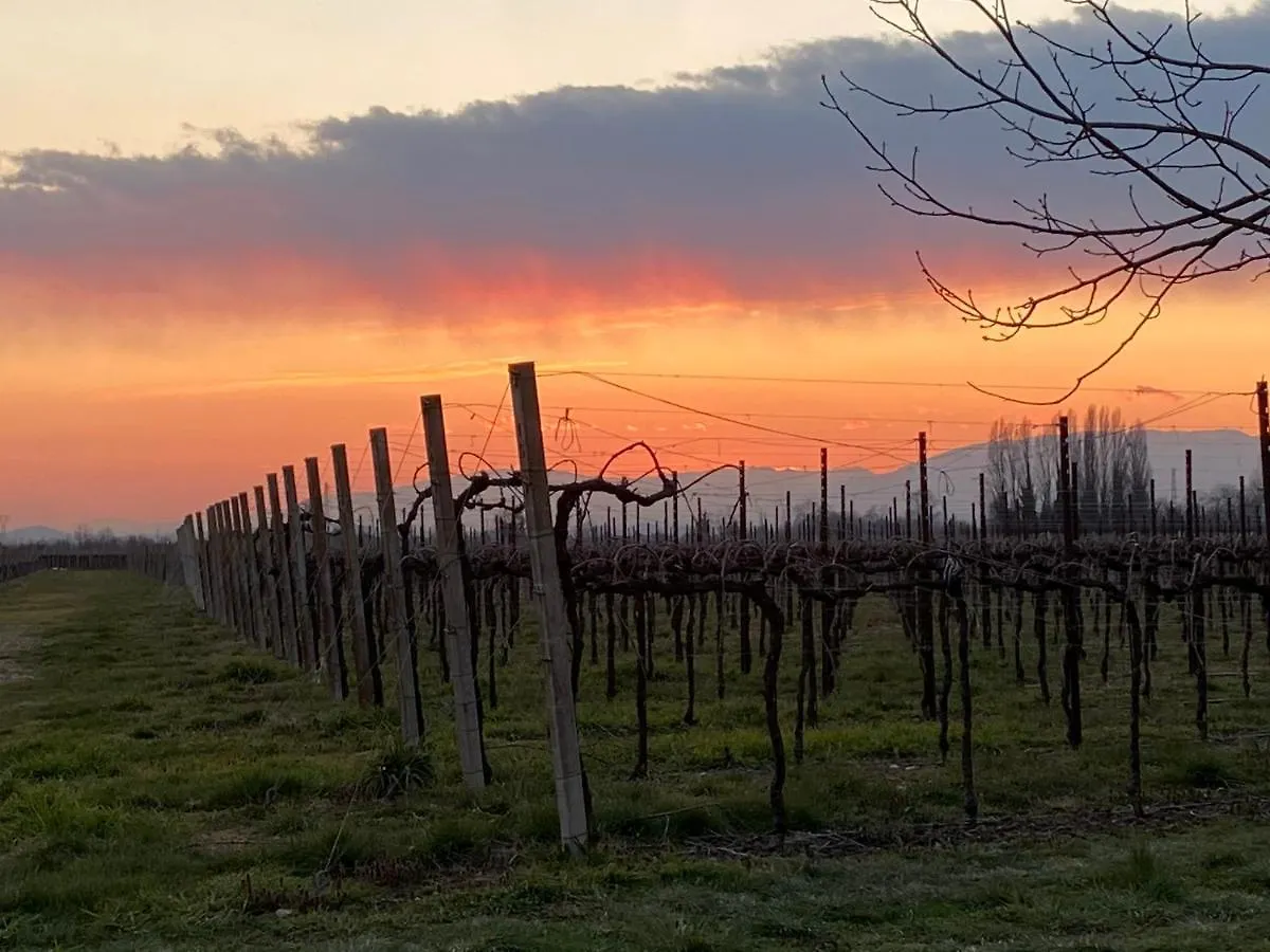 Farm stay Agriturismo Richeton Gaiarine