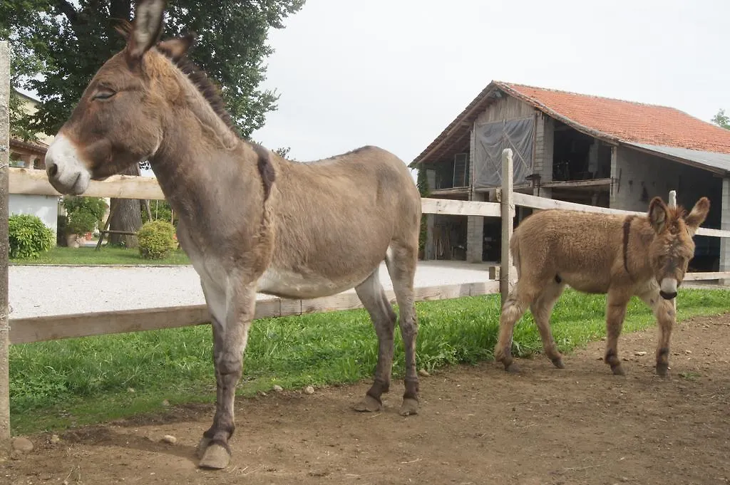 Farm stay Agriturismo Richeton Gaiarine